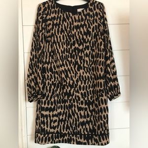 NWT Loft shift dress